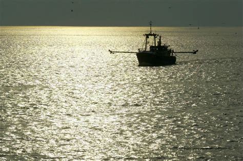 Fangquoten in der Ostsee: Vorschlag der Kommission für 2025.